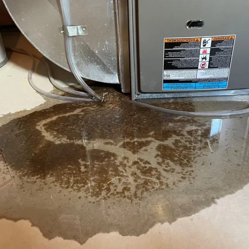 Pipe Burst and Leak Restoration in Kemmerer, WY