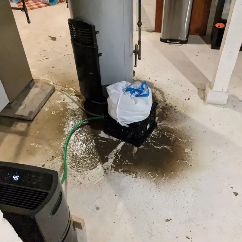 Sewage Backup Cleanup Service in Kemmerer, WY